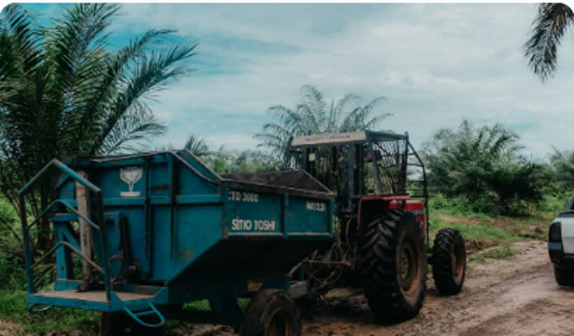 Palm Oil Filtration